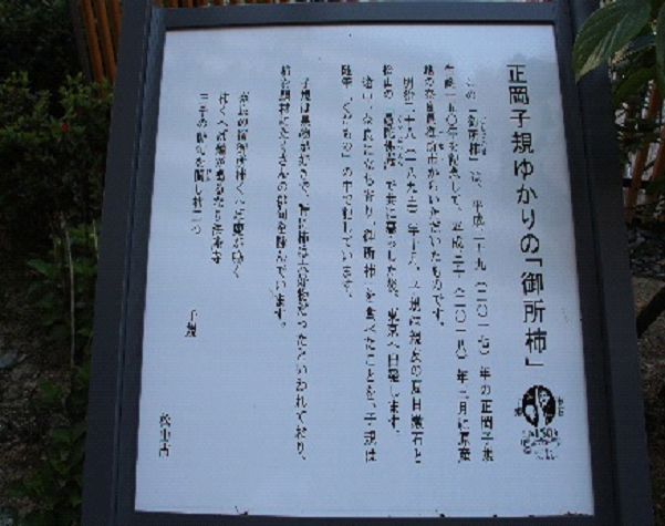 御所柿 御所柿説明写真