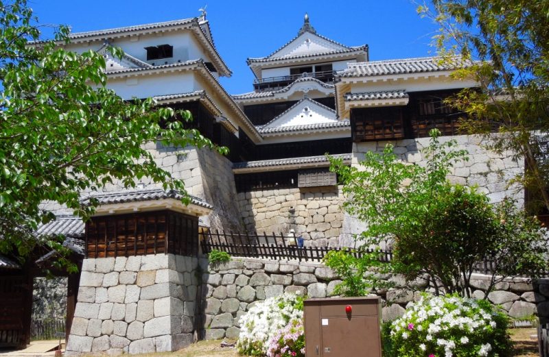 新緑の松山城です。