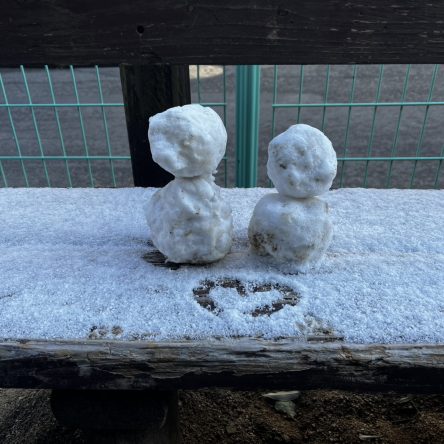 松山で雪です！！